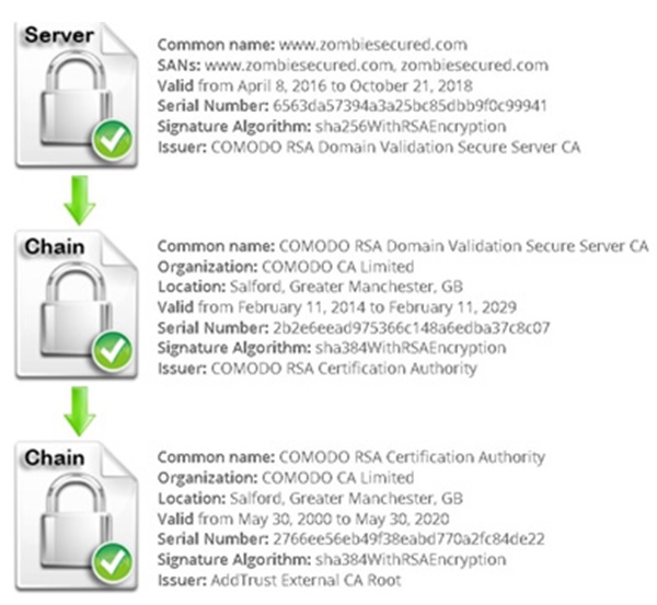 Website Architecture